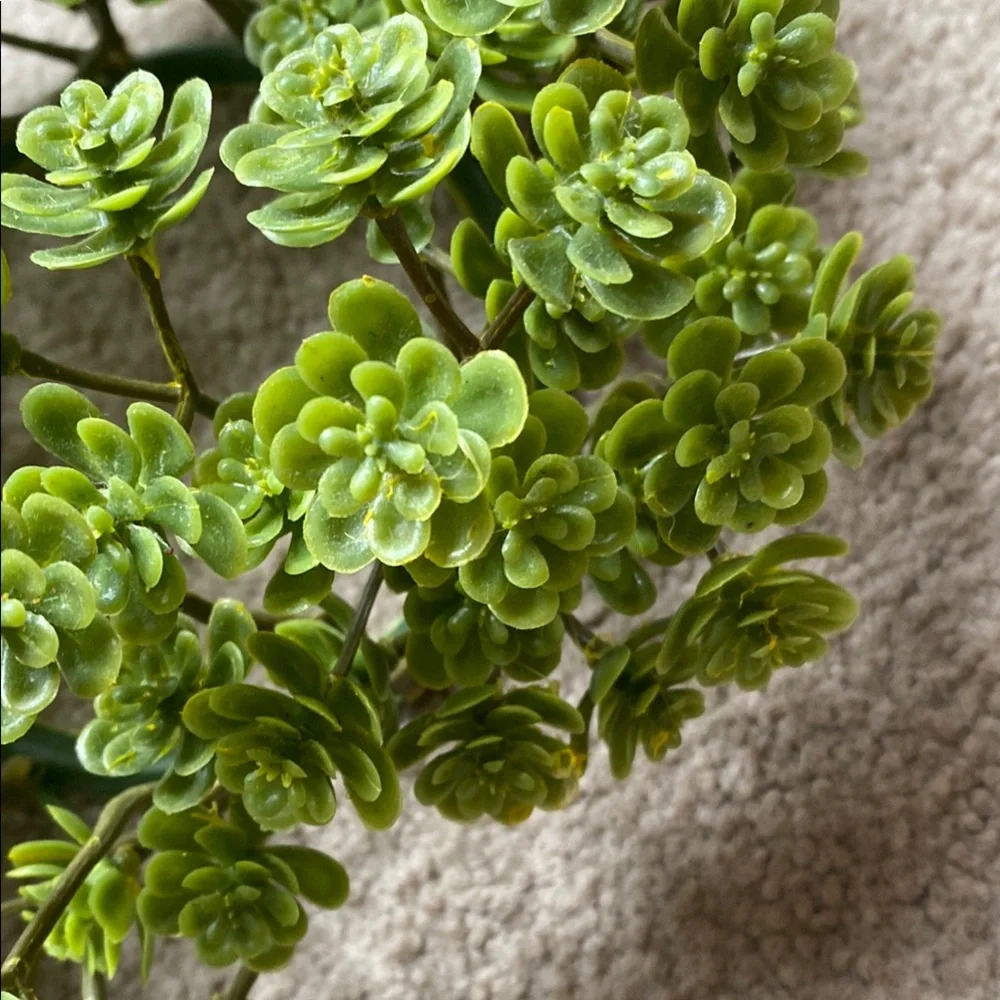 Green Succulent Wreath